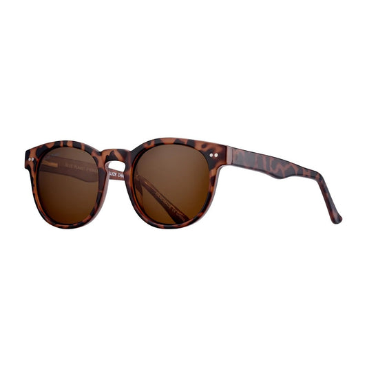 sunglasses - indie - amber tortoise/brown lens by blue planet eyewear
