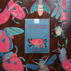 garland - recycled cotton paper - insects by east end press