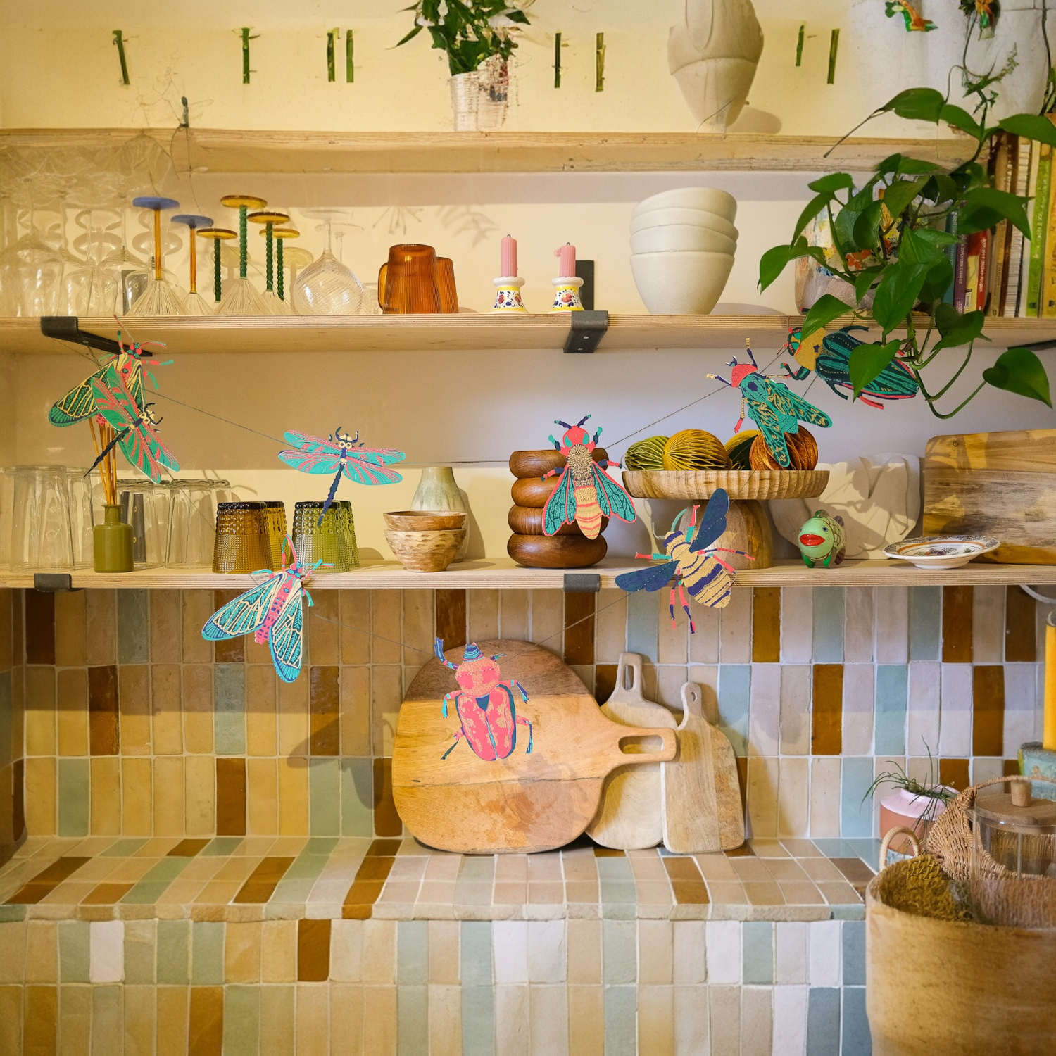Decor & Curiousities
