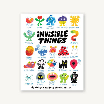 book - invisible things by chronicle books