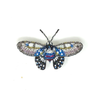 Brooch Pin | Borneo Birdwing Butterfly