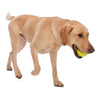 dog toy - jive® by west paw design