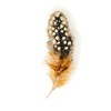 Brooch Pin | Guinea Feather
