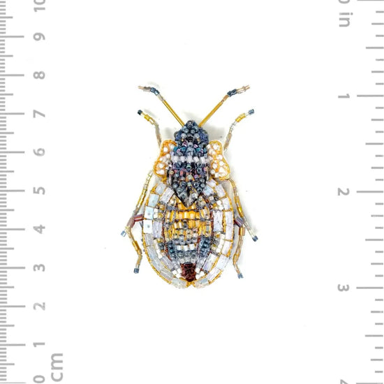 brooch pin - lace bug by trovelore