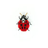 brooch pin - lady bug beetle by trovelore