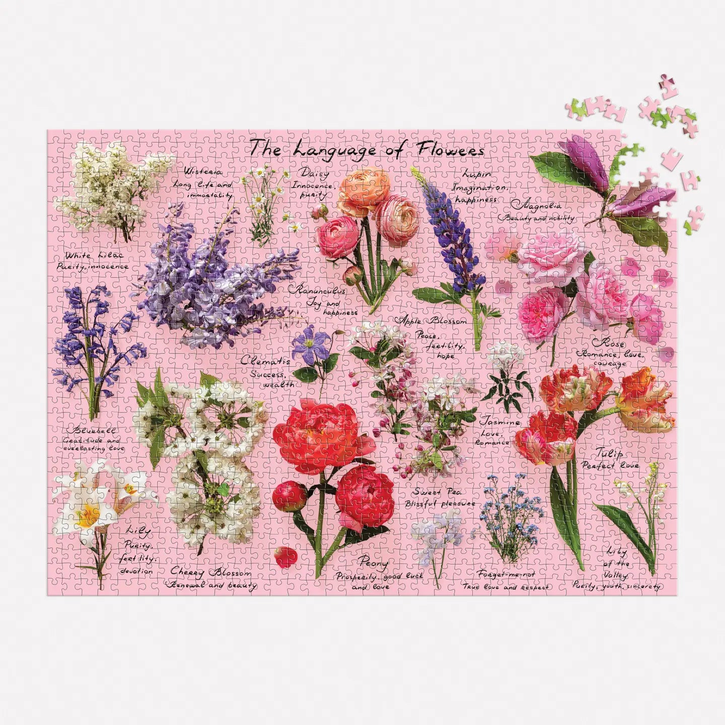 puzzle - 1000-piece - language of flowers by chronicle books
