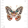 brooch pin - lime swallowtail butterfly by trovelore