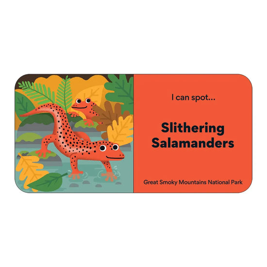 board book set - little park ranger by chronicle books