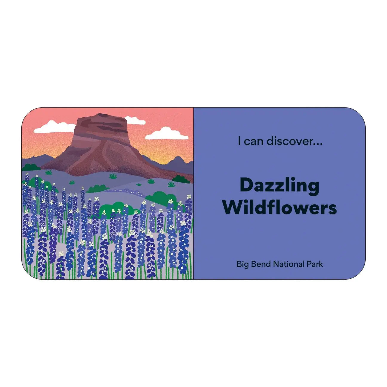 board book set - little park ranger by chronicle books
