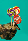 candy - handmade lollipop by redstone foods inc