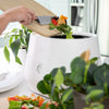 kitchen composter - lomi smart waste™ by lomi