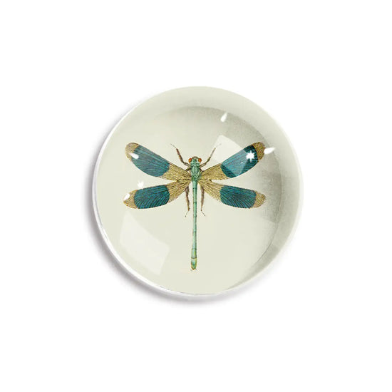 paperweight - crystal dome - blue dragonfly by ben's garden