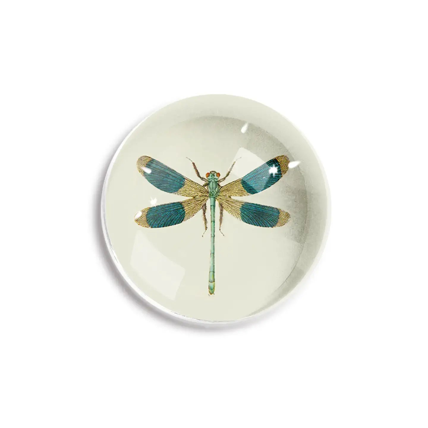 paperweight - crystal dome - blue dragonfly by ben's garden