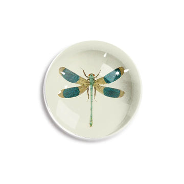 paperweight - crystal dome - blue dragonfly by ben's garden