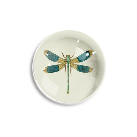 paperweight - crystal dome - blue dragonfly by ben's garden