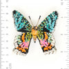 brooch pin - madagascar sunset moth by trovelore