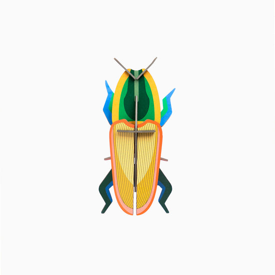 3d insect puzzle - small beetle by studio roof