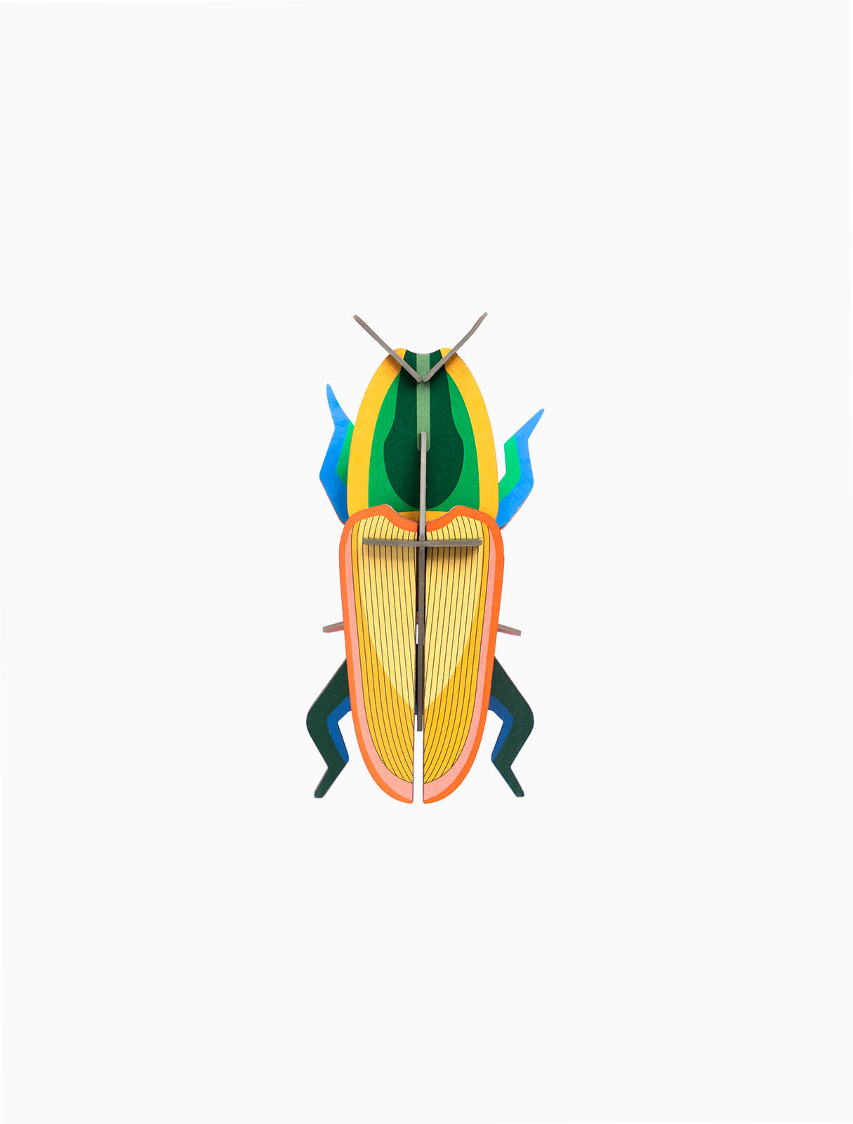 3d insect puzzle - small beetle by studio roof