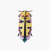 3d insect puzzle - small beetle by studio roof