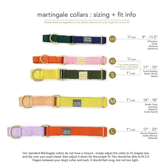 dog collar - martingale - merlot + lilac by major darling