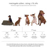 dog collar - martingale - pink + orange by major darling