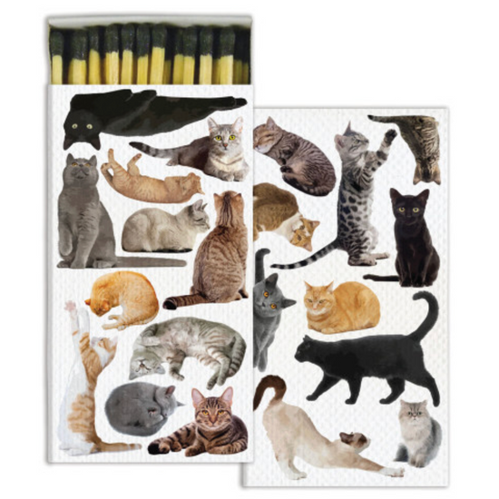 matchbox - short by homart