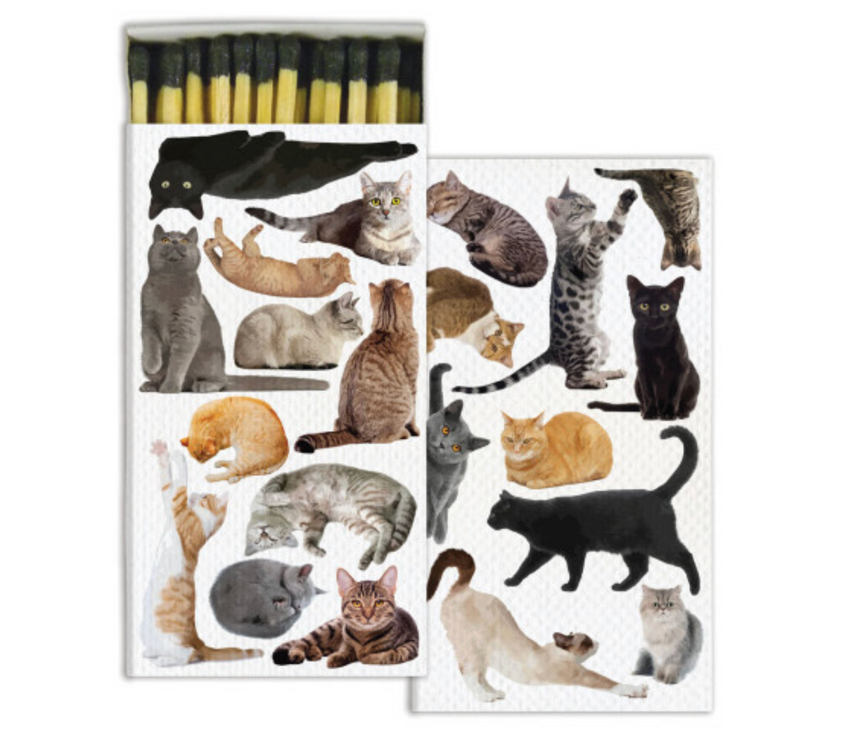 matchbox - short by homart