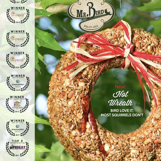 bird seed wreath - flaming hot by mr. bird
