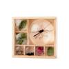 Toy | Magnifying Box | My Little Museum