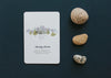 card set - mindful kids by little renegades