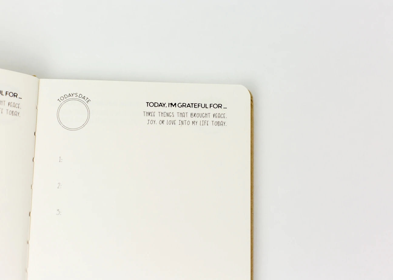 book - mindful kids journal by little renegades