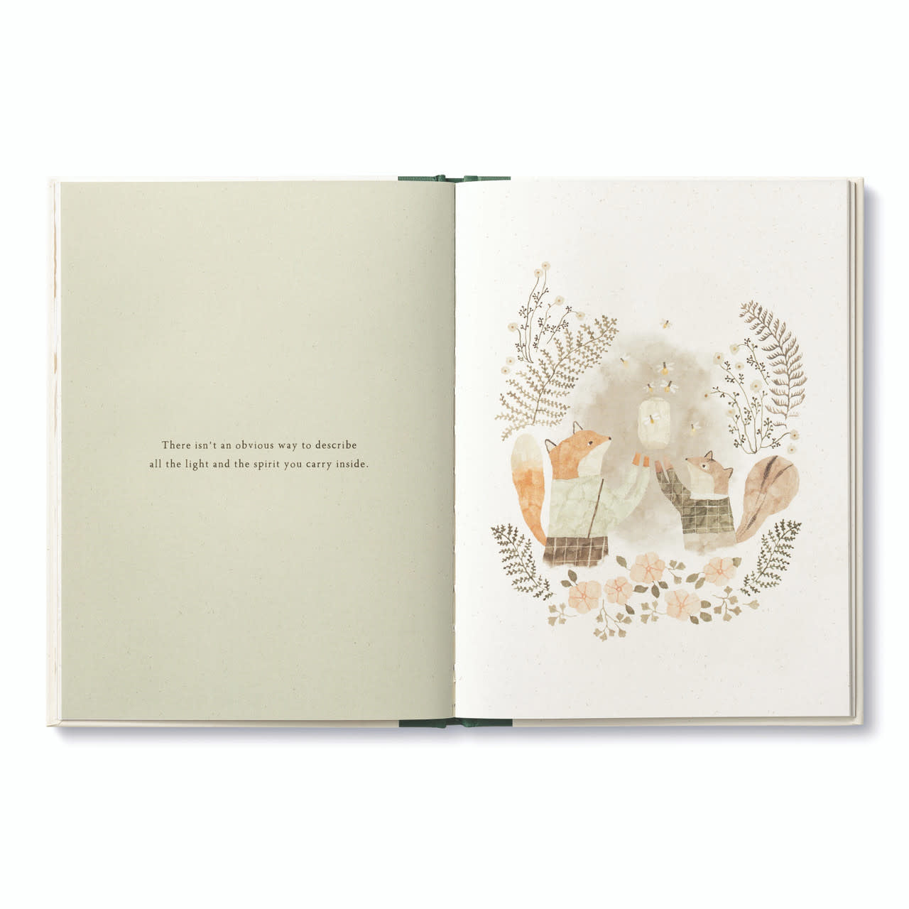 book - more than a little by compendium