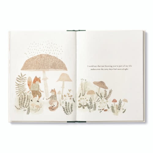 book - more than a little by compendium