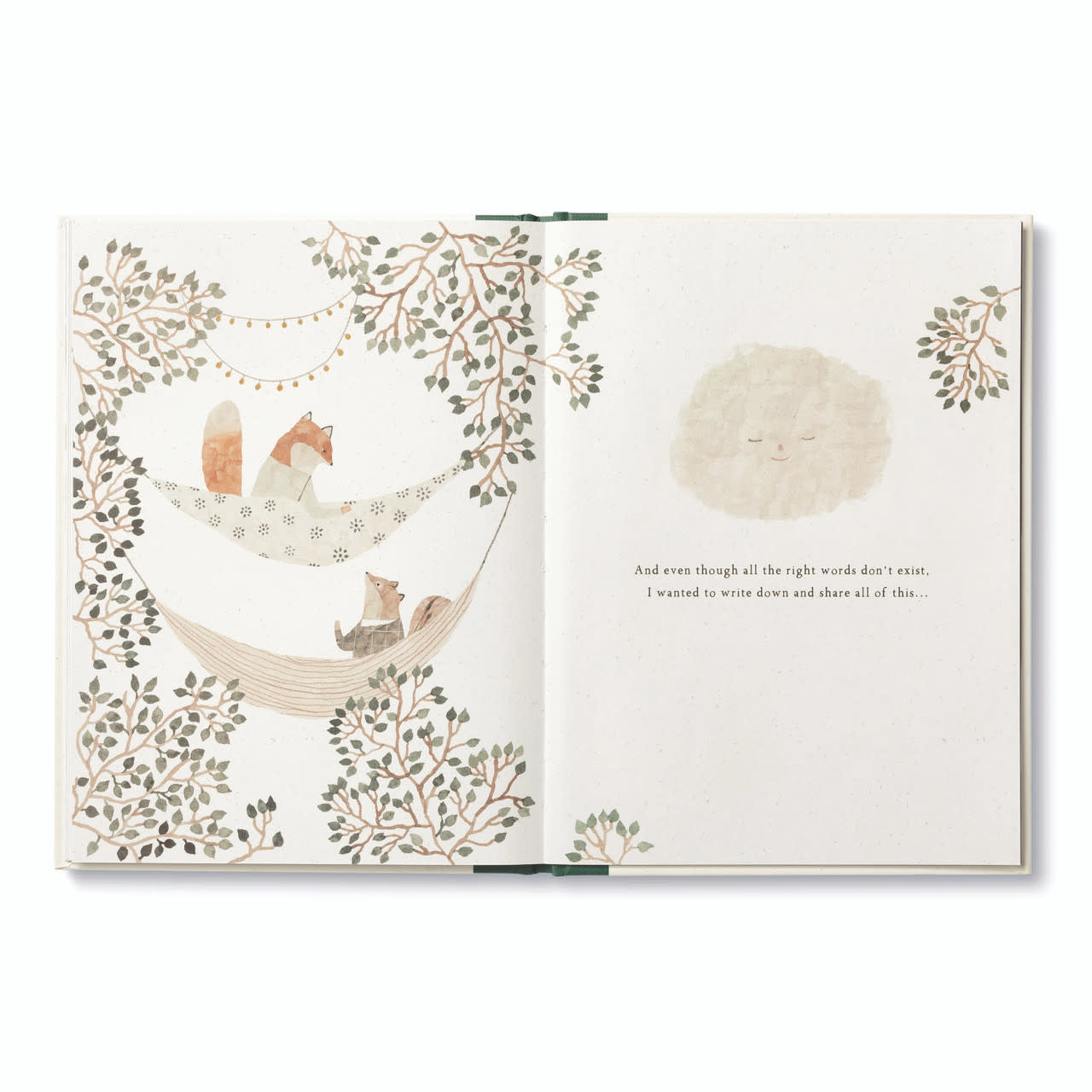 book - more than a little by compendium