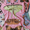 blanket - recycled cotton/acrylic - moth still life - pink by calhoun & co.