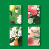 candy - mints tin - portofino by motif
