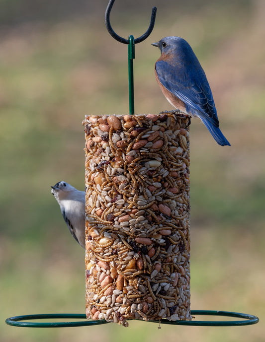 bird seed feeder - cylinder by mr. bird