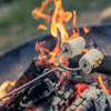 Roasting Sticks | Hand-Forged | Blackened Finish