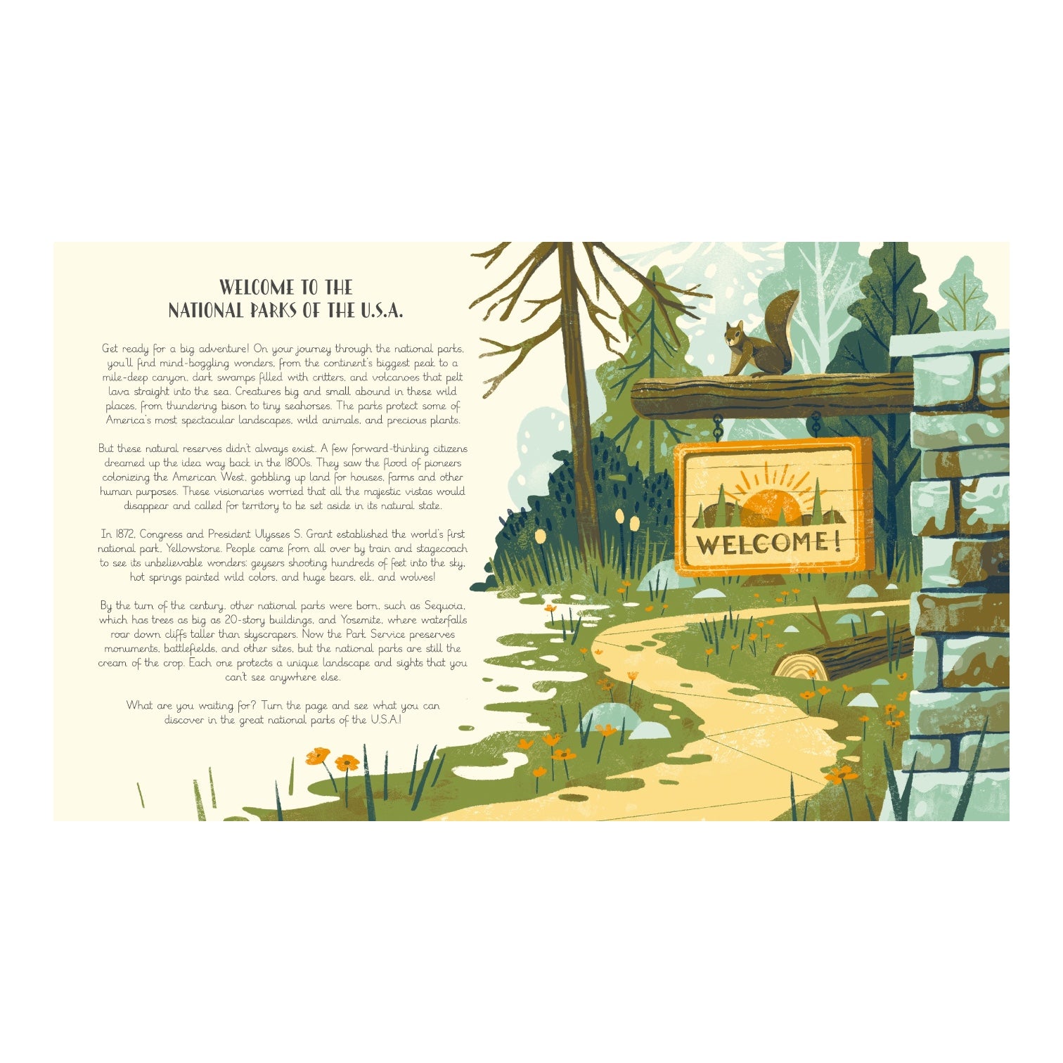 book - national parks of the usa by quarto usa