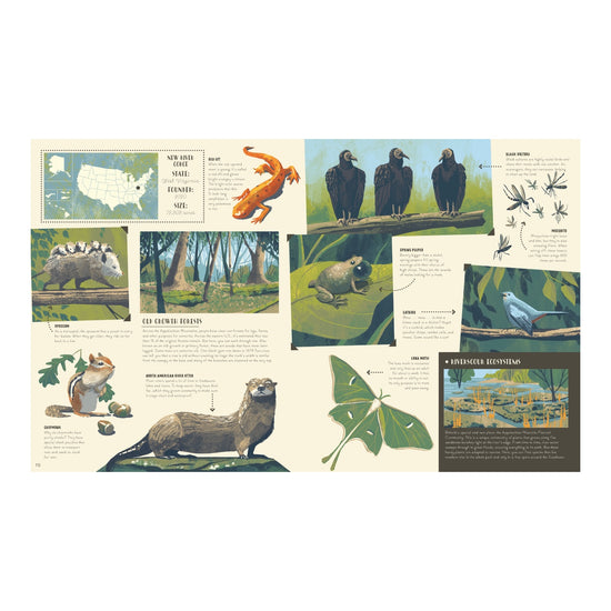 book - national parks of the usa by quarto usa