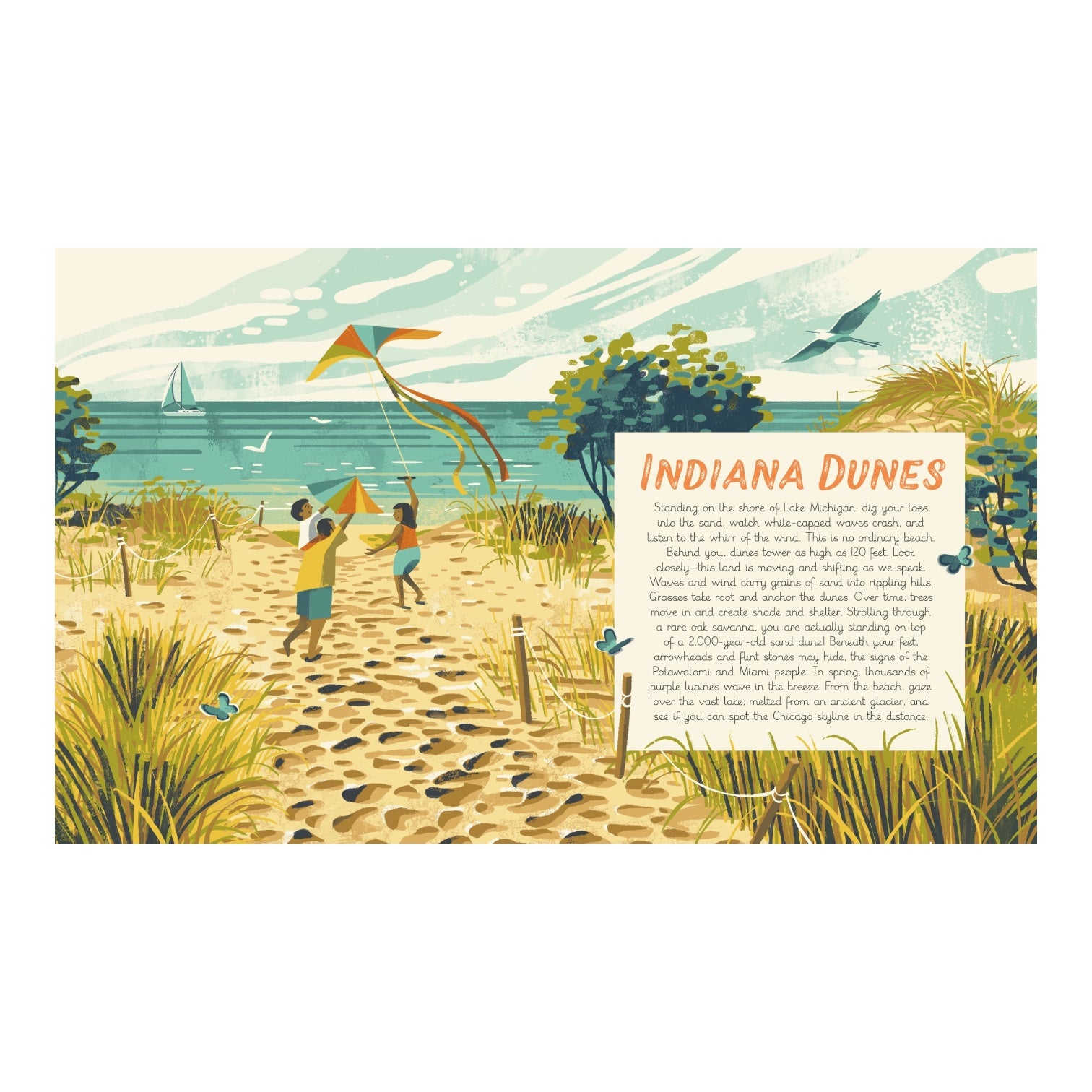 book - national parks of the usa by quarto usa