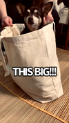 Bag | Canvas Tote | Cats