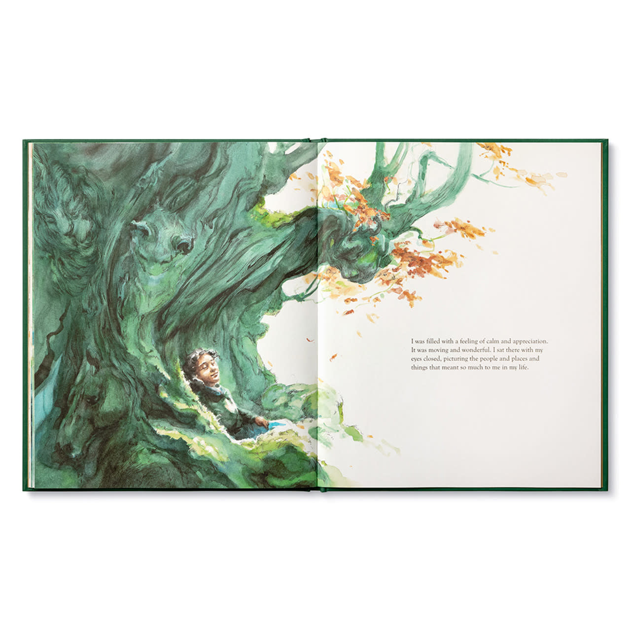 book - noticing by compendium