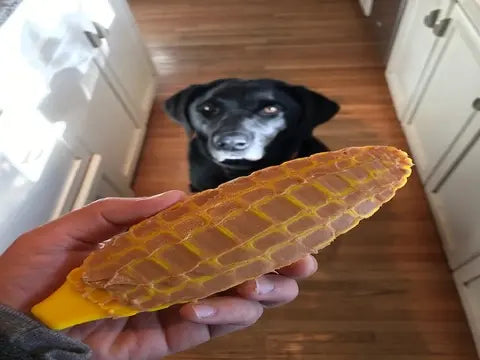 dog toy - nylon corn on the cob - med/lg by sodapup
