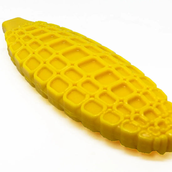 dog toy - nylon corn on the cob - med/lg by sodapup