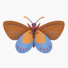 3d insect puzzle - large butterfly by studio roof