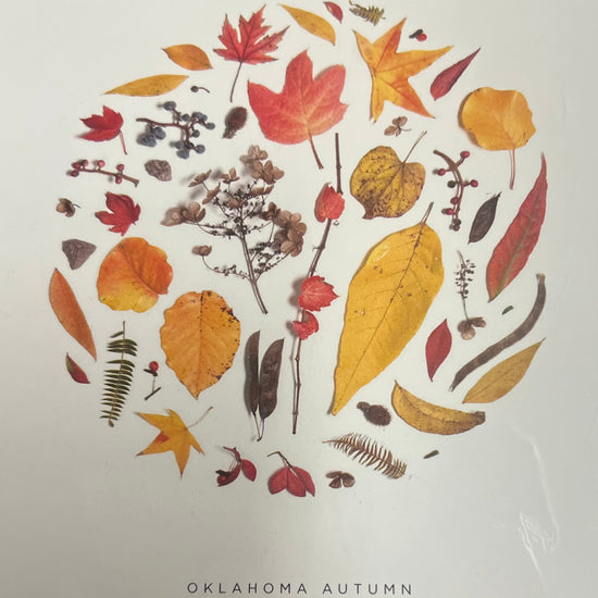 art print - oklahoma season by create etc dba evie s.