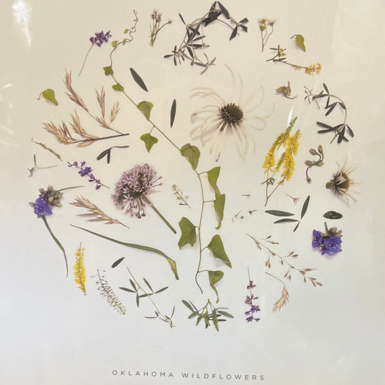 art print - oklahoma wildflowers by create etc dba evie s.