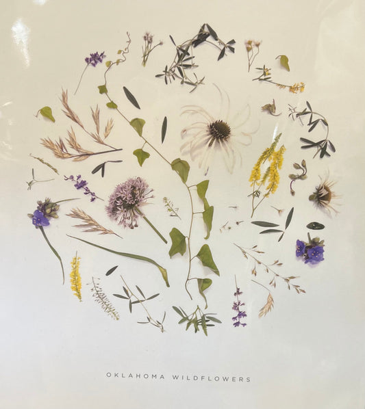 art print - oklahoma wildflowers by create etc dba evie s.