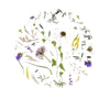 art print - oklahoma wildflowers by create etc dba evie s.